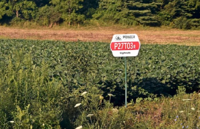 EPA Forced To Study Glyphosate, Finds Pesticide Could Injure Or Kill 93% Of Endangered Species