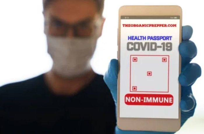 Vaccine Passports and Health Passes: Is Showing Your “Papers” the “New Normal?”