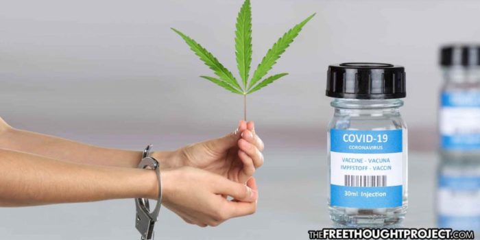 COVID-19 Vaccine Approved In Under a Year As Gov’t Keeps Cannabis Schedule 1 Drug