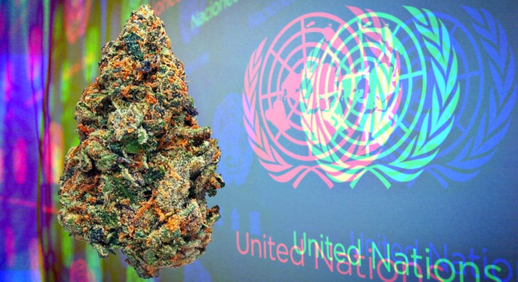 United Nations Officially Recognizes Cannabis as Medicine in Historic Vote Un-cannabis-1024x557