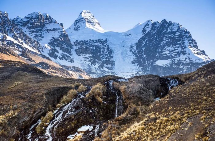 Andean Mountains: Scientists Find New, Rare and Rediscovered Species