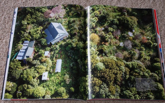 23-Year-Old Permaculture Food Forest in New Zealand