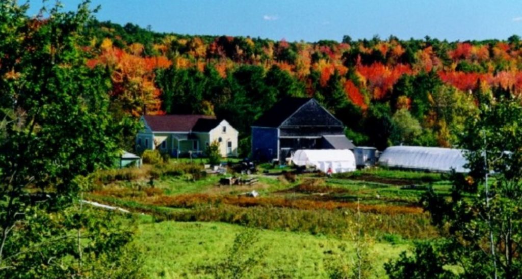 A fazenda da família no Maine não conseguiu sobreviver depois do fechamento dos restaurantes - até que os vizinhos apareceram 3