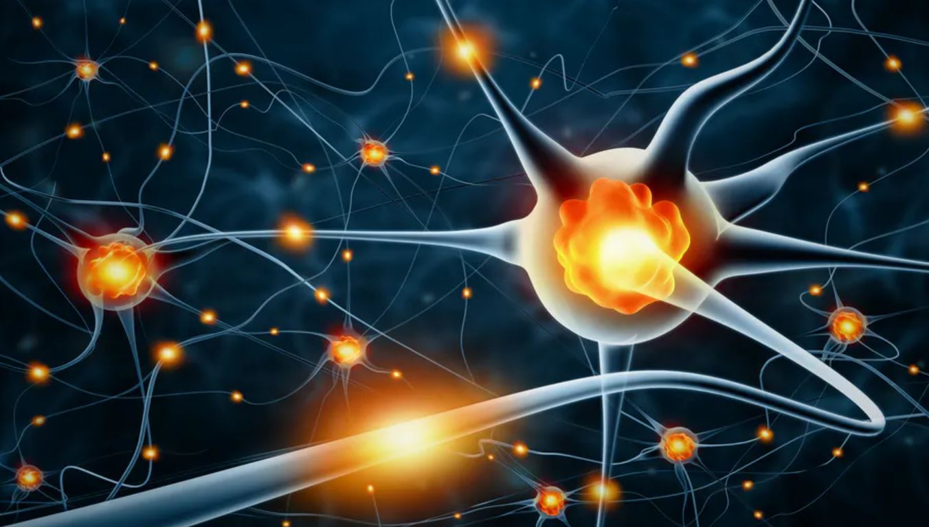 Alzheimer’s: New Research Shows a Leap Forward in Identifying Neurons