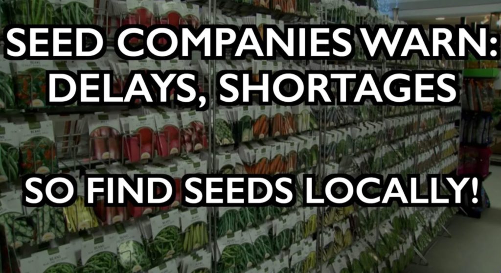 Seed Companies Warn of Shortages, Delays – So Find Them Locally! Seed-shortages-iaf-1024x558