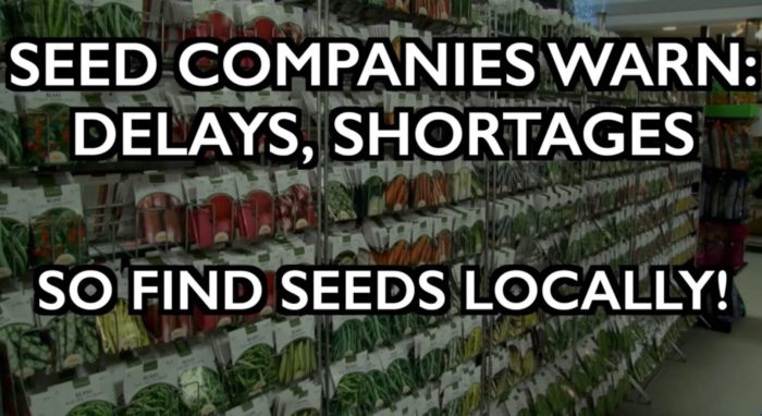 Seed Companies Warn of Shortages, Delays – So Find Them Locally!
