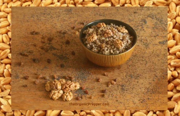 A Prepper’s Guide to Wheat Berries: Versatile, Space-Saving, Long-Term Food