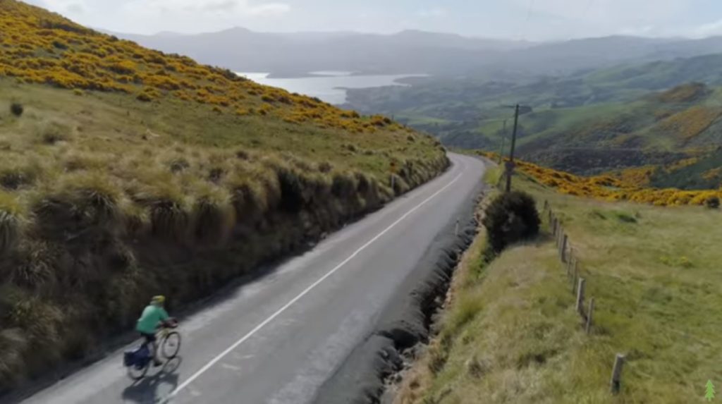 Man Turns Degraded Land Into Massive Forest! Bike-1024x573