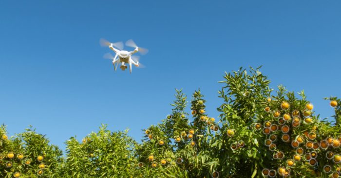 Flying Robo Harvester Picks Ripe Fruit, Set To Displace Humans