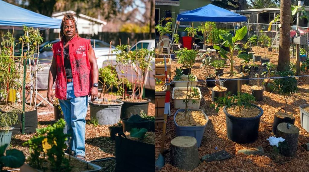 Florida Man Uses Stimulus Check to Start Thriving Home Garden to Feed His Community Florida-community-garden-tmu-1024x570