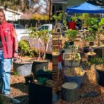 Florida Man Uses Stimulus Check to Start Thriving Home Garden to Feed His Community
