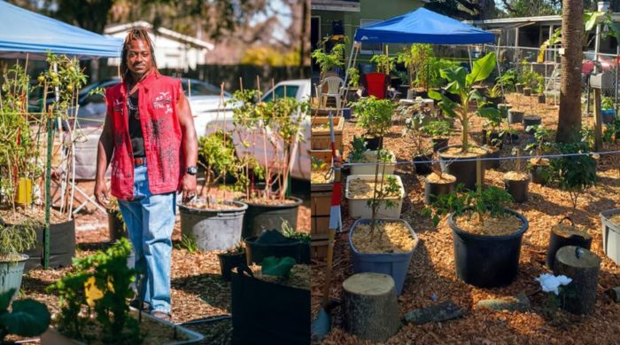 Florida Man Uses Stimulus Check to Start Thriving Home Garden to Feed His Community