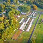 Earning over $80K a Year Farming on 1.5 Acres — Epic Tour of Honey Tree Farm, NC