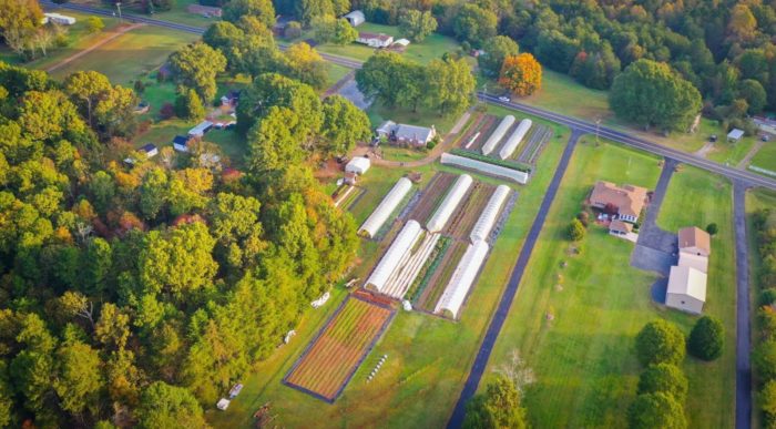 Earning over $80K a Year Farming on 1.5 Acres — Epic Tour of Honey Tree Farm, NC