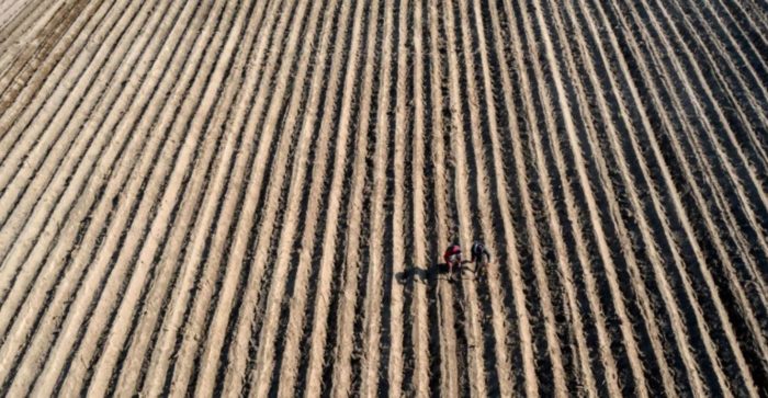 Mexico’s Decision to Ban Glyphosate Has Rocked the Agribusiness World