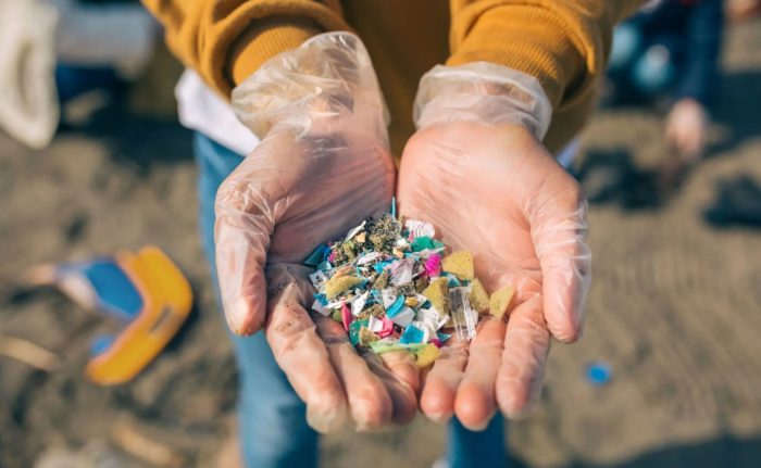 Microplastics And Their Impact On Human Health Causes Concern And Requires Immediate Research