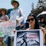 Emails Reveal US Officials Joined With Agrochemical Giant Bayer to Stop Mexico’s Glyphosate Ban