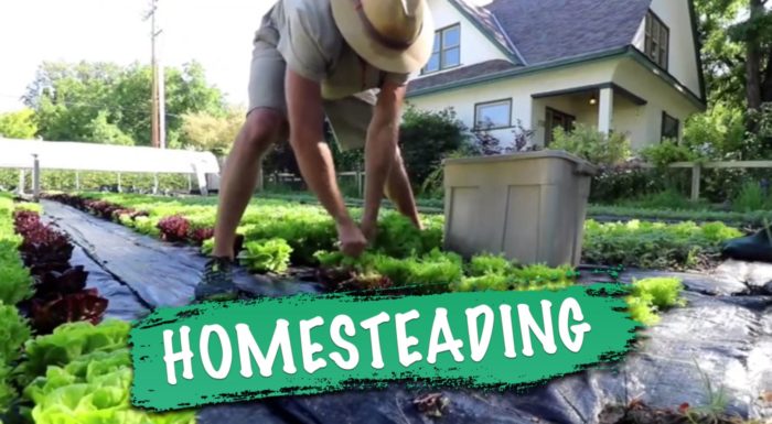 Homesteading – “Solutions Watch” with James Corbett