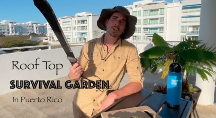 Touring My Roof Top Survival Garden in Puerto Rico