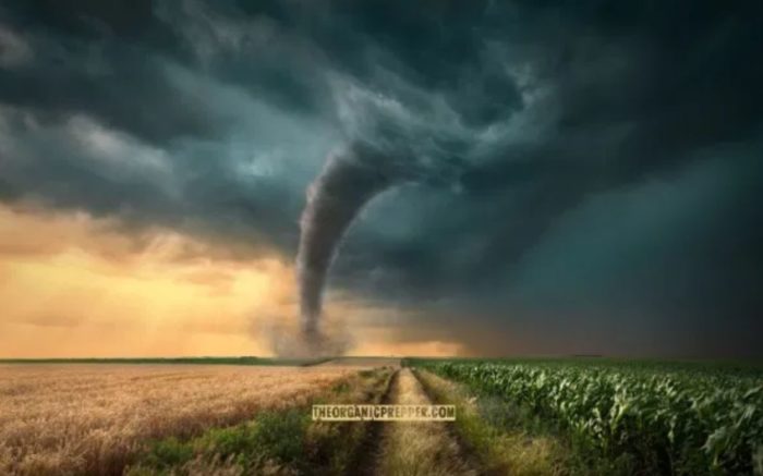URGENT: Extreme Level 5 “High Risk” Warning of Severe Tornado Outbreaks Across SE