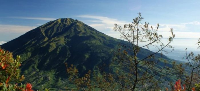 One Man Stops Drought And Brings Fortune to Village By Planting 11,000 Trees Over 24 Years