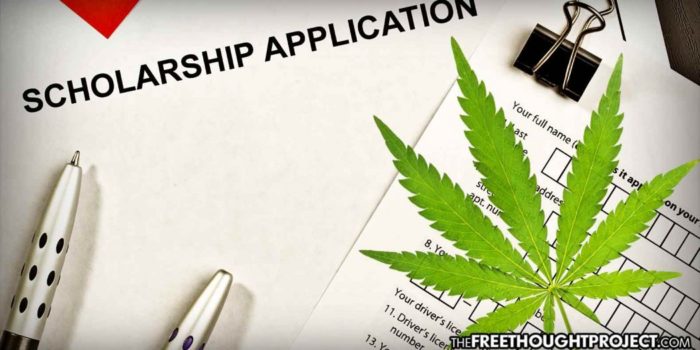 For the First Time in History, State University Now Offers Cannabis Scholarship