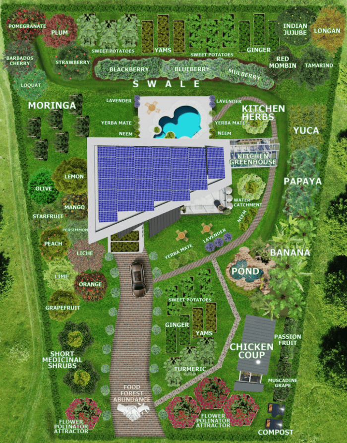 Cree seguridad alimentaria en su patio trasero – Salud y Bienestar