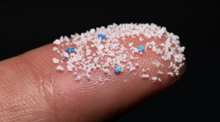 Tiny Plastic Particles are Climbing the Food Chain from the Ground Up