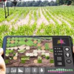 Proposed FDA Rule Threatens Small Farms and Food Businesses