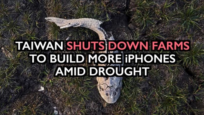 Taiwan Shuts Down Farms to Build More iPhones — Destruction of Food Supply