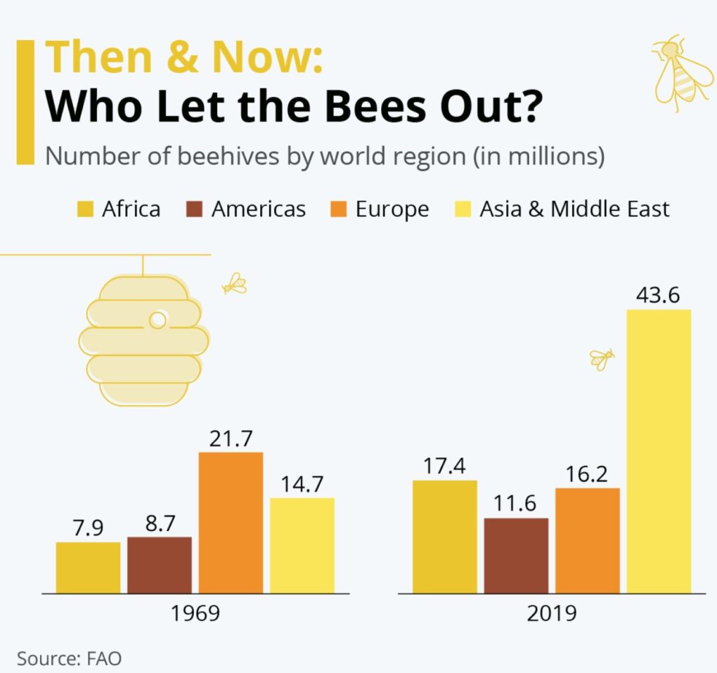 Who Let The Bees Out? Health Before It's News