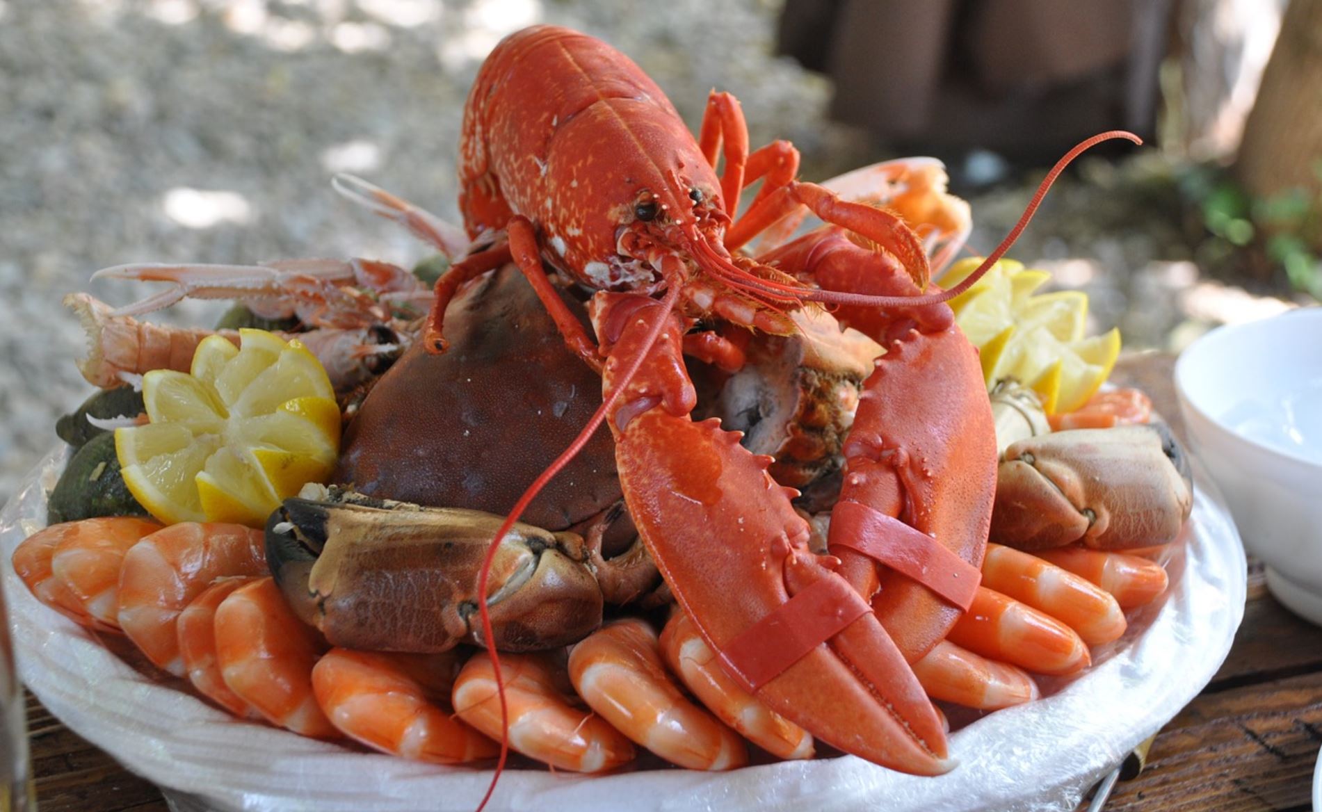 Сколько живут омары. Лангустины кубинские. Краб блюдо. Морепродукты. Лобстер.