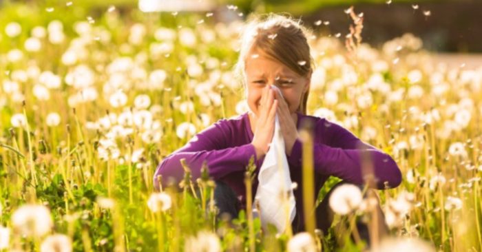 Seasonal Allergies? These 6 Foods May Help