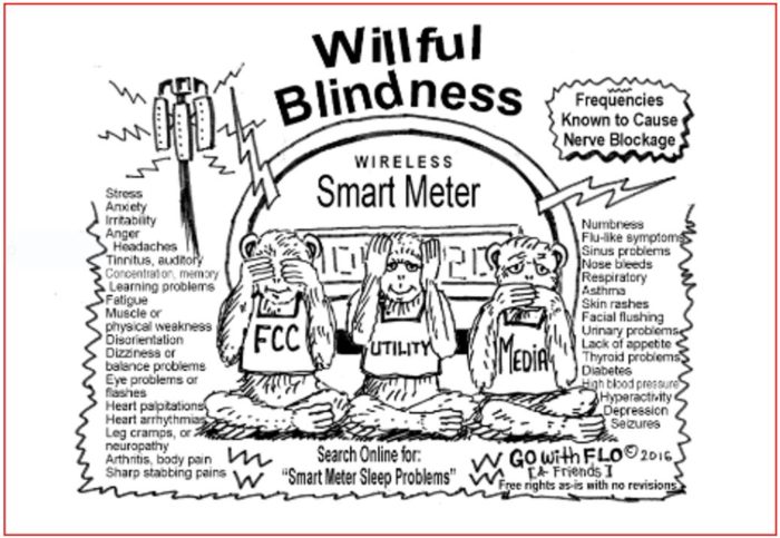 Smart Meter Discrimination Updates: Maine, Pennsylvania, Should Medically Vulnerable Ratepayers Be Forced To Accept a Smart Meter, and/or Pay Protection?