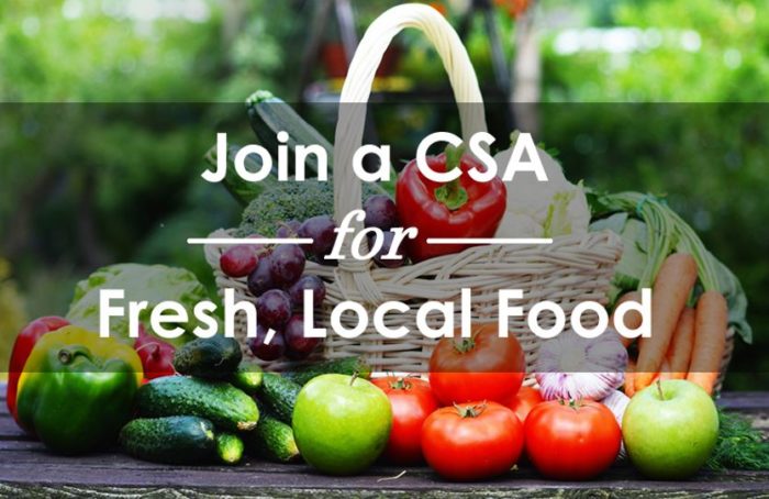 My First Community Supported Agriculture (CSA) Program