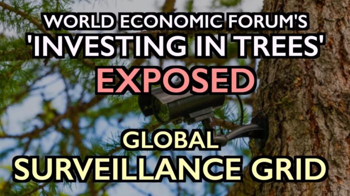 WEF’s “Invest in Forests” Exposed: Global Surveillance Grid