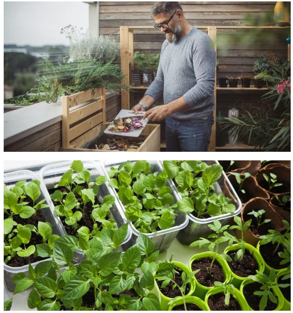 Mis primeros pasos en la jardinería de interiores – Salud y Bienestar