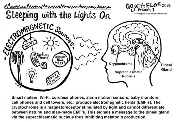 Paul Harding, Total EMF Solutions — Real Men Know That Microwave Sickness is Real: 5G/EMF/RF Father’s Day Stories