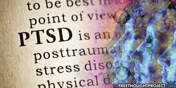 In a First, Texas Passes Law to Study Psychedelics to Treat PTSD in Veterans