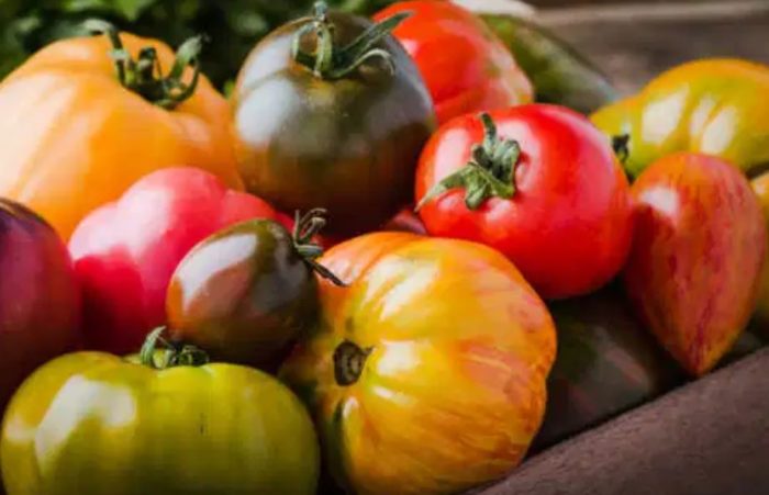 How To Make the Most of Your Tomato Harvest