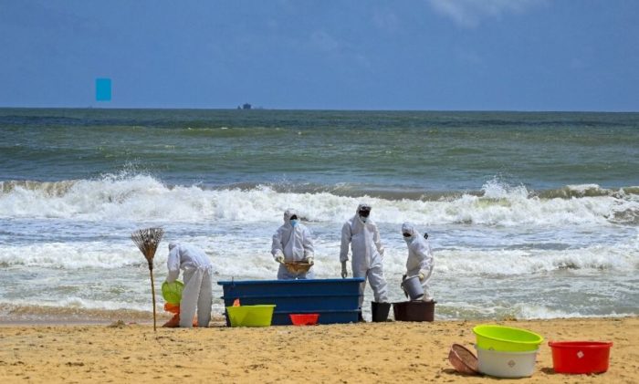 Wildlife Deaths Blamed on Ship Disaster Mount in Sri Lanka