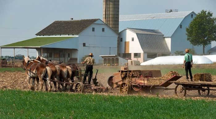USDA Attacks Amish Farmers Selling REAL Food to Protect Corporate Industrial Farming