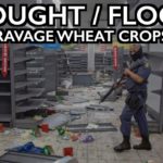 Global Wheat Supplies Short as Drought/Flood Ravage Crops & Supply Chain Falters