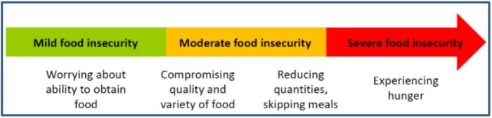 Multiple Ways To Handle Food Insecurity Now