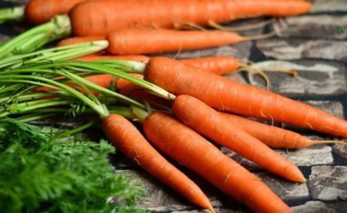 Grow Your Own Carrots