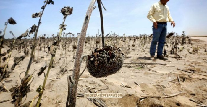 Are We Headed for a Full-On Famine? Fires, Drought, and Foreign Entities Buying Farms and Food Processing Plants