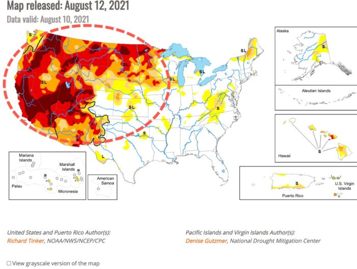 USDA Crop Tour Warns: Megadrought Impacting Corn And Soybean Yields