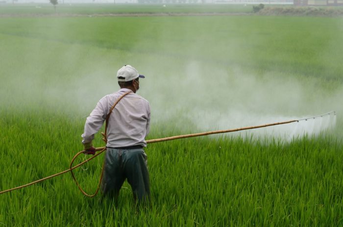 Farm Workers at Risk: Research Shows That Exposure to Paraquat Is Linked to Parkinson’s Disease