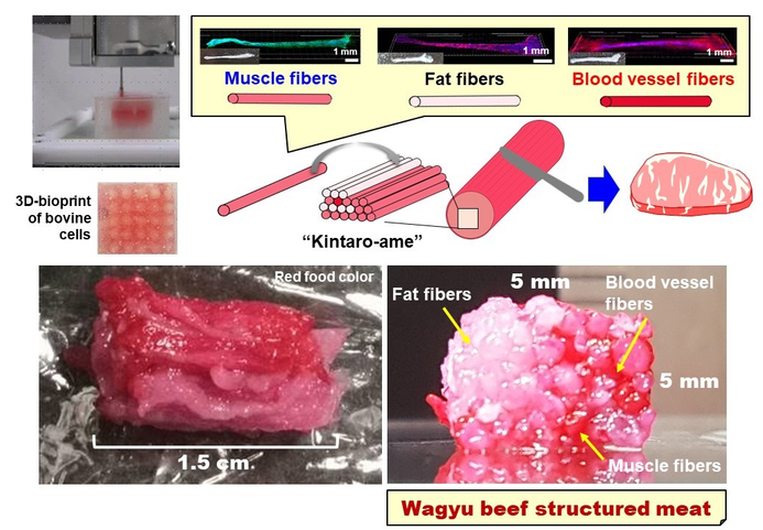 “High Steaks” – Scientists In Japan 3D Print Wagyu Beef