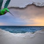 Breakthrough Immunity